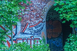 IMGP4437