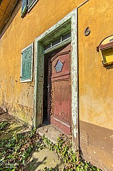 29