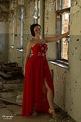 ELMO6237
