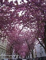 IMGP0429