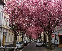 IMGP0468