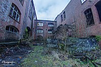 IMGP4131