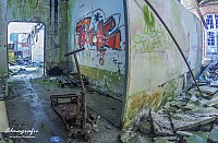 IMGP4149