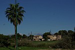 IMGP2457