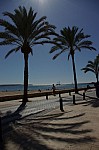 IMGP2465