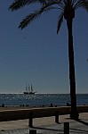 IMGP2466