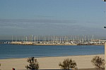 IMGP2825