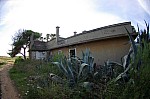 IMGP2995