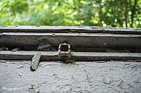 IMGP4358