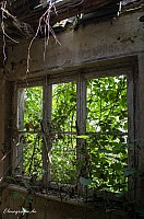 IMGP4360