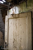 IMGP4362