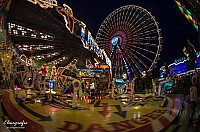 IMGP7036