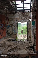 IMGP0856