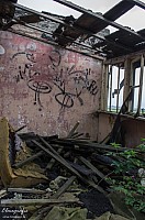 IMGP0859