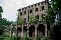 IMGP0864