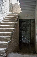 IMGP0867