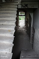 IMGP0869