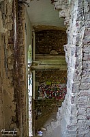 IMGP0878