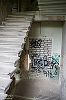 IMGP0879