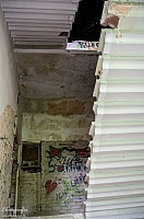 IMGP0880