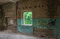 IMGP0881
