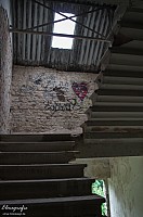 IMGP0887