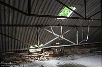 IMGP0889