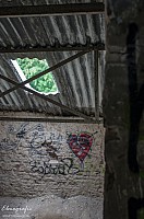 IMGP0892