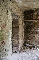 IMGP0893