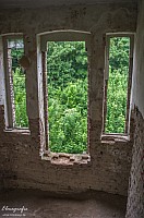 IMGP0894