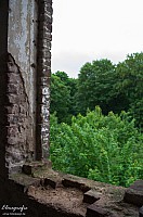 IMGP0895
