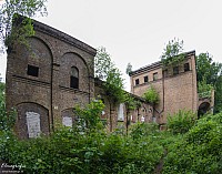 IMGP0907