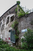 IMGP0911