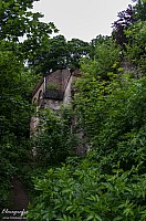 IMGP0912