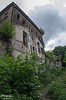 IMGP0913