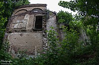 IMGP0915