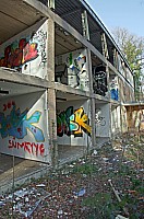 IMGP3705