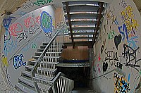 IMGP3714