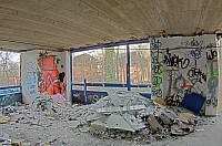 IMGP3715