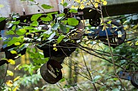 IMGP0485