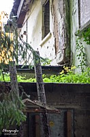 IMGP0490