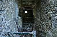IMGP0495
