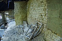 IMGP0497