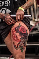 IMGP2935