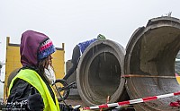 IMGP1138
