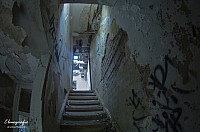 IMGP2495