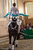 IMGP3293