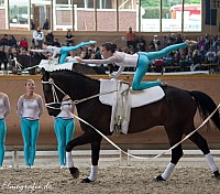 IMGP3326