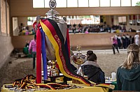 IMGP3456