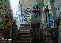 IMGP0505